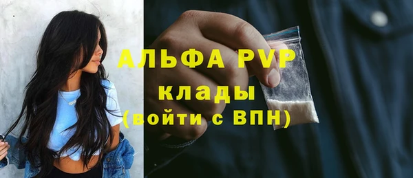 шишки Верхний Тагил