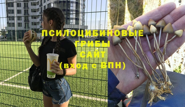 гашиш Володарск