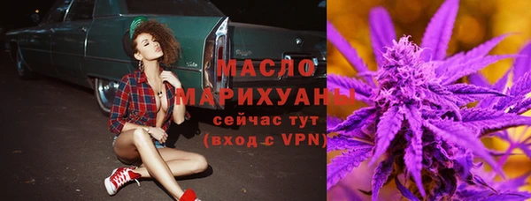 шишки Верхний Тагил