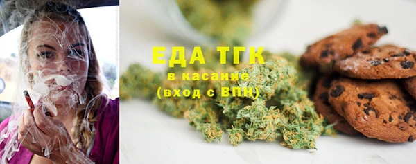 шишки Верхний Тагил